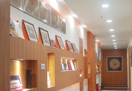 做為國產(chǎn)工業(yè)內窺鏡設備老品牌廠家，深圳亞泰光電深耕工業(yè)內窺鏡、工業(yè)管道內窺鏡、工業(yè)視頻內窺鏡等20余載，自主研發(fā)生產(chǎn)內窺鏡產(chǎn)品具有多項發(fā)明專利，內窺鏡廠家直銷，價格優(yōu)惠。